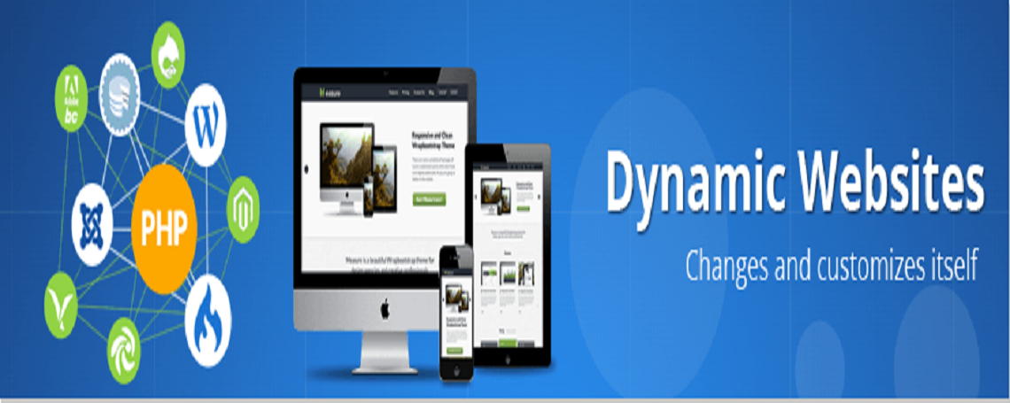 dynamicwebsite